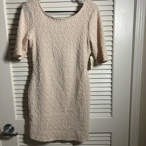 Forever21 Women’s Textured Short Sleeve Dress in Cream Size Large Never Worn